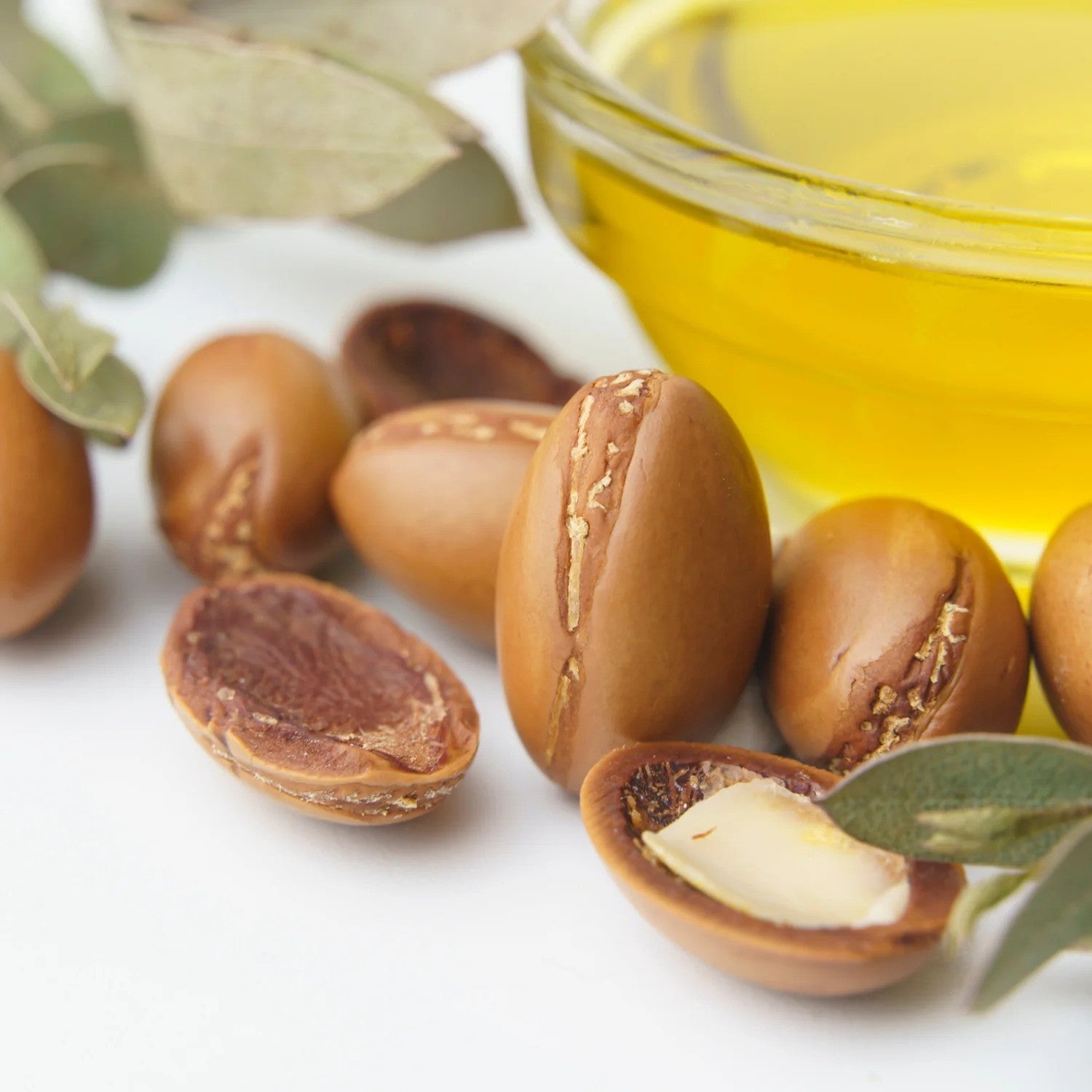 Exploring the Marvels of Argan: A Hair Care Odyssey with LOCKS 'N LURE